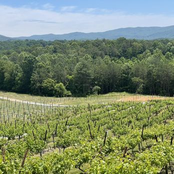 Ott Vineyards And Winery - Beautiful views - Wine Tasting Room Near Me - Ellijay, Georgia Ott Vineyards And Winery - Beautiful views - Wine Tasting Room Near Me - Ellijay, Georgia