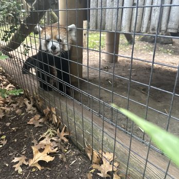 Zoo Boise - Zoos Near Me - Boise, Idaho
