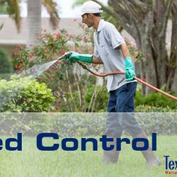 Texas Lawn Pros