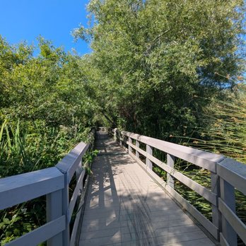 Neary Lagoon - Beautiful day to walk this trail - Parks Near Me - Santa Cruz, California Neary Lagoon - Beautiful day to walk this trail - Parks Near Me - Santa Cruz, California