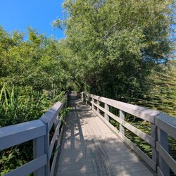 Neary Lagoon - Beautiful day to walk this trail