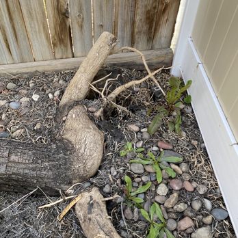 Bridge Fence - They cut these roots and didn't care what would happen to the neighbor. - Fences & Gates Near Me - Oak Hills, California