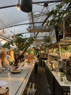 Greenhouse Bar by null