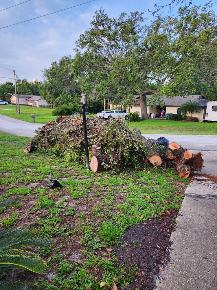 EVERYTHING GREEN TREE SERVICE Updated October 2024 13 Photos DeLand, Florida Tree