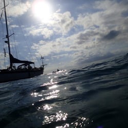 Namaste Sailing Charters - We are always near