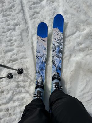 Bridger Bowl Ski Area by null