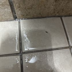Just Fitness 4U - This is one of the many worms you will find inhabiting the men's showers! This is one of 10 over the course of January-April
