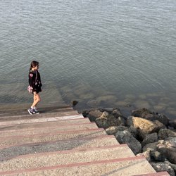 Seal Point Park