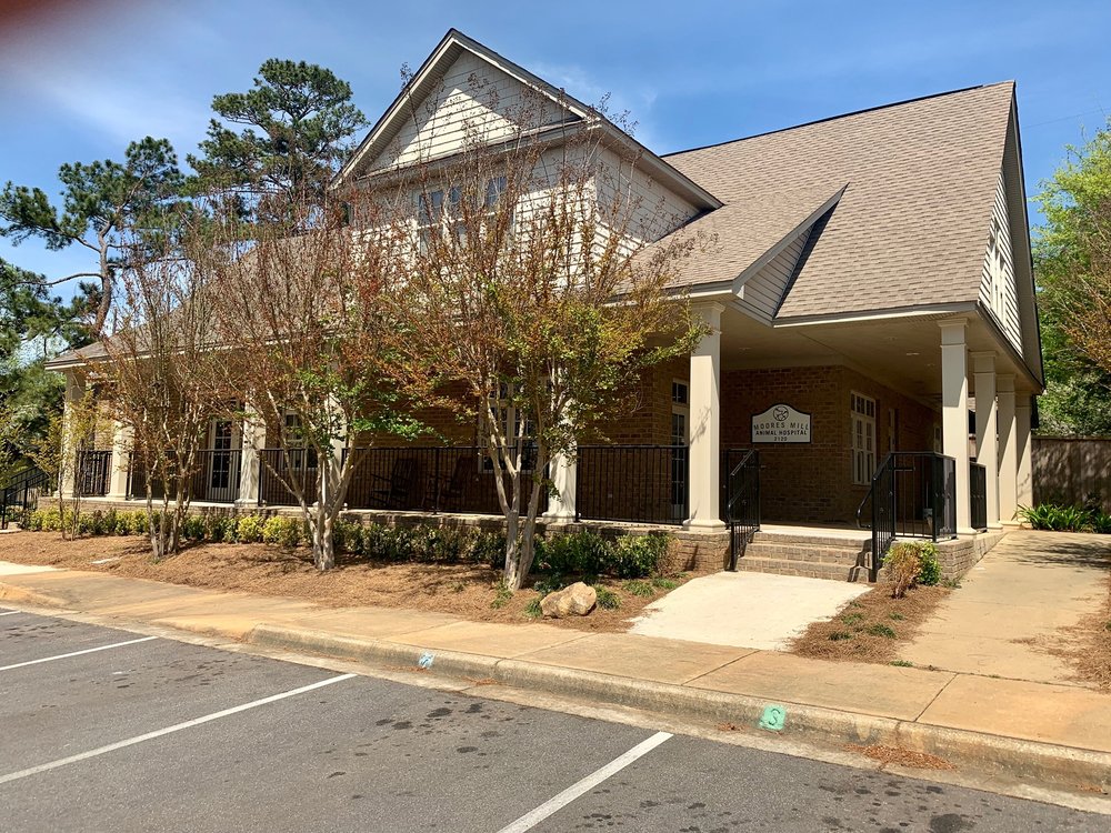 MOORES MILL ANIMAL HOSPITAL Updated September 2024 18 Photos 2120 Moores Mill Rd, Auburn