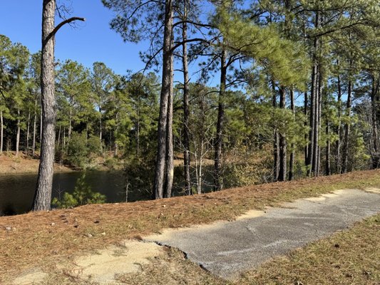 L Scott Stell Park by null