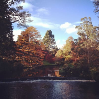 Mount Usher Gardens by null