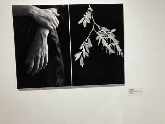 Agora Gallery by null