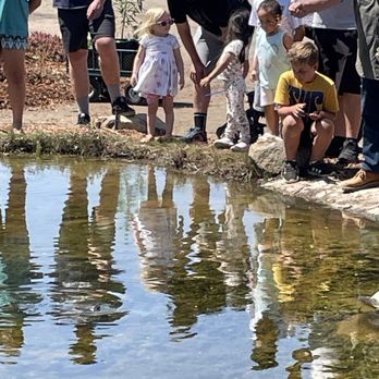 Waterwise Botanicals - Feeding fish - Nurseries & Gardening Near Me - Bonsall, California