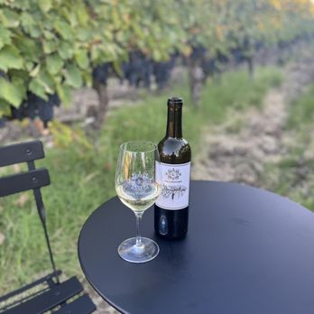 SK Hira Vineyards - a bottle of wine and a glass of wine - Wineries Near Me - Tracy, California SK Hira Vineyards - a bottle of wine and a glass of wine - Wineries Near Me - Tracy, California