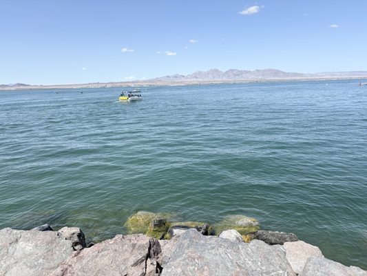 Lake Havasu State Park by null