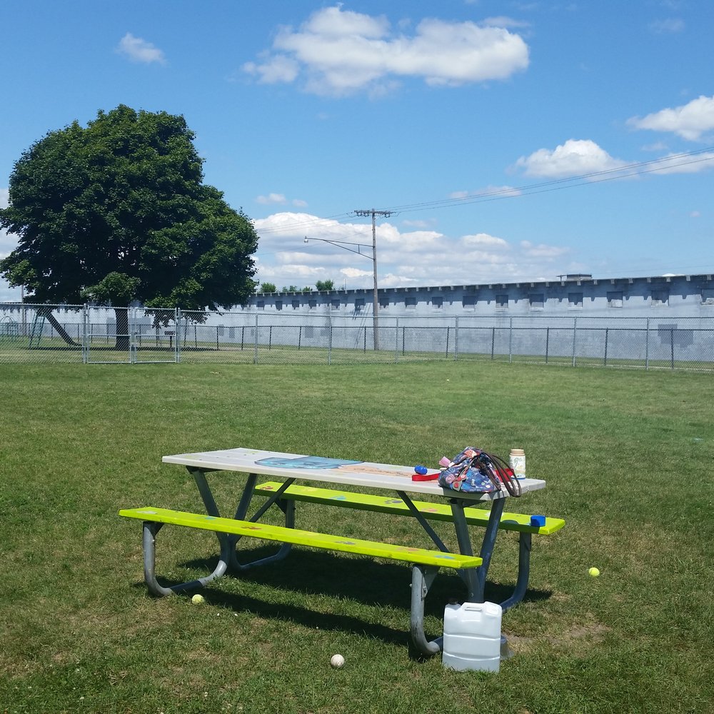 Hazel Park Dog Park - Large Area Dog Park (Small is right next to it) - Dog Parks Near Me - Hazel Park, Michigan Hazel Park Dog Park - Large Area Dog Park (Small is right next to it) - Dog Parks Near Me - Hazel Park, Michigan