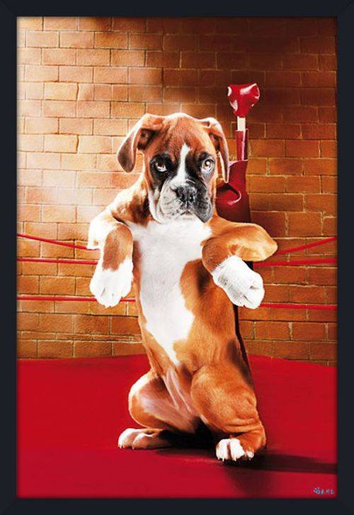 o Jupiter Florida Real Estate For Sale