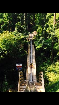 Smoky Mountain Alpine Coaster by null