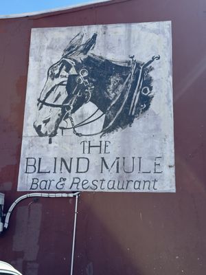 The Blind Mule by null