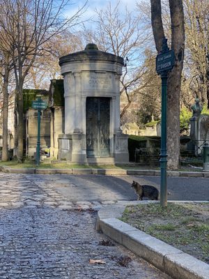 Cimetière de Montmartre by null