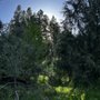 Photo of Lanzarotta Bed and Breakfast