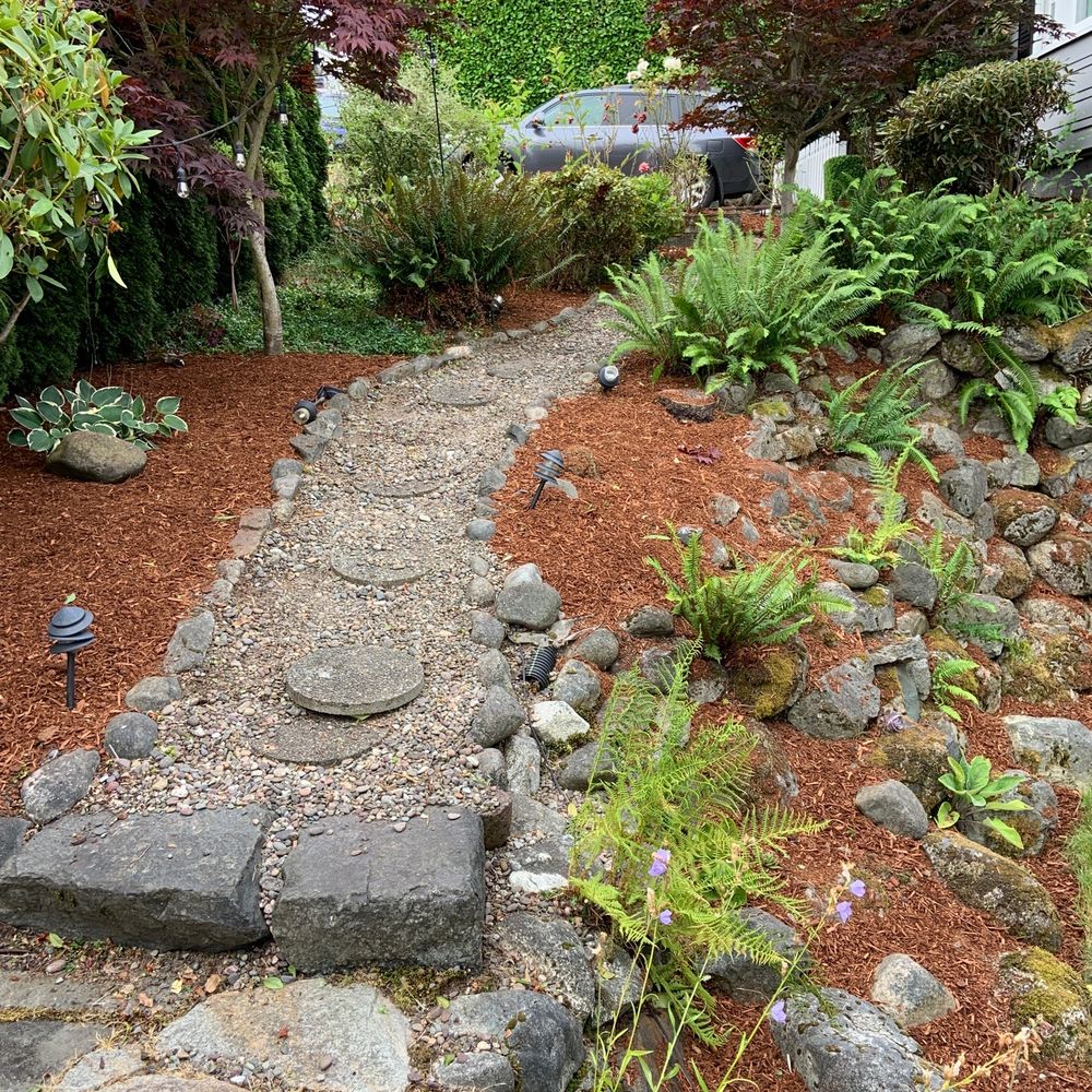 Daniel's Tree Service & Landscaping - After - Tree Services Near Me