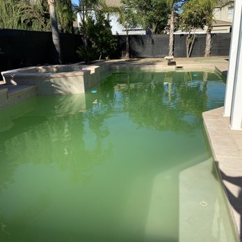 Chuck's Pool Service - Before Mike came to the rescue - Pool & Hot Tub Service Near Me