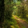 Bob Straub State Park gift card