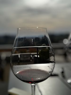 Archery Summit by null