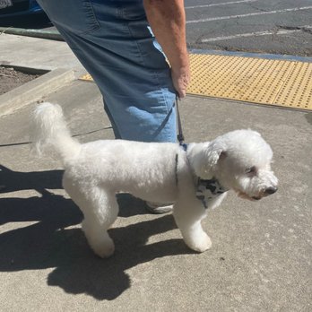 Barking Lot Pet Styling - Pet Groomers Near Me - Stockton, California Barking Lot Pet Styling - Pet Groomers Near Me - Stockton, California