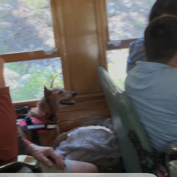 Durango & Silverton Narrow Gauge Railroad - Service Dog Lucy. The train people and workers were great with Lucy. - Trains Near Me - Durango, Colorado Durango & Silverton Narrow Gauge Railroad - Service Dog Lucy. The train people and workers were great with Lucy. - Trains Near Me - Durango, Colorado