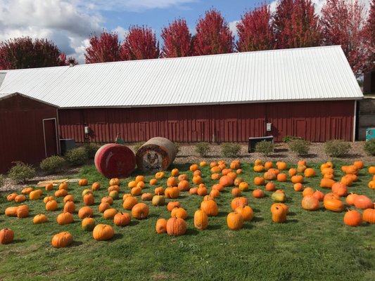 Oregon Heritage Farms by null