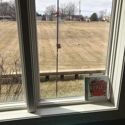 Gail Borden Public Library District - South Elgin - Bird feeders located around the library