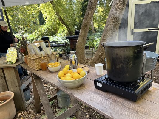 Stone Soup Farm & Heritage Orchard by null