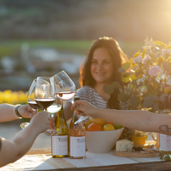 Kokomo Winery