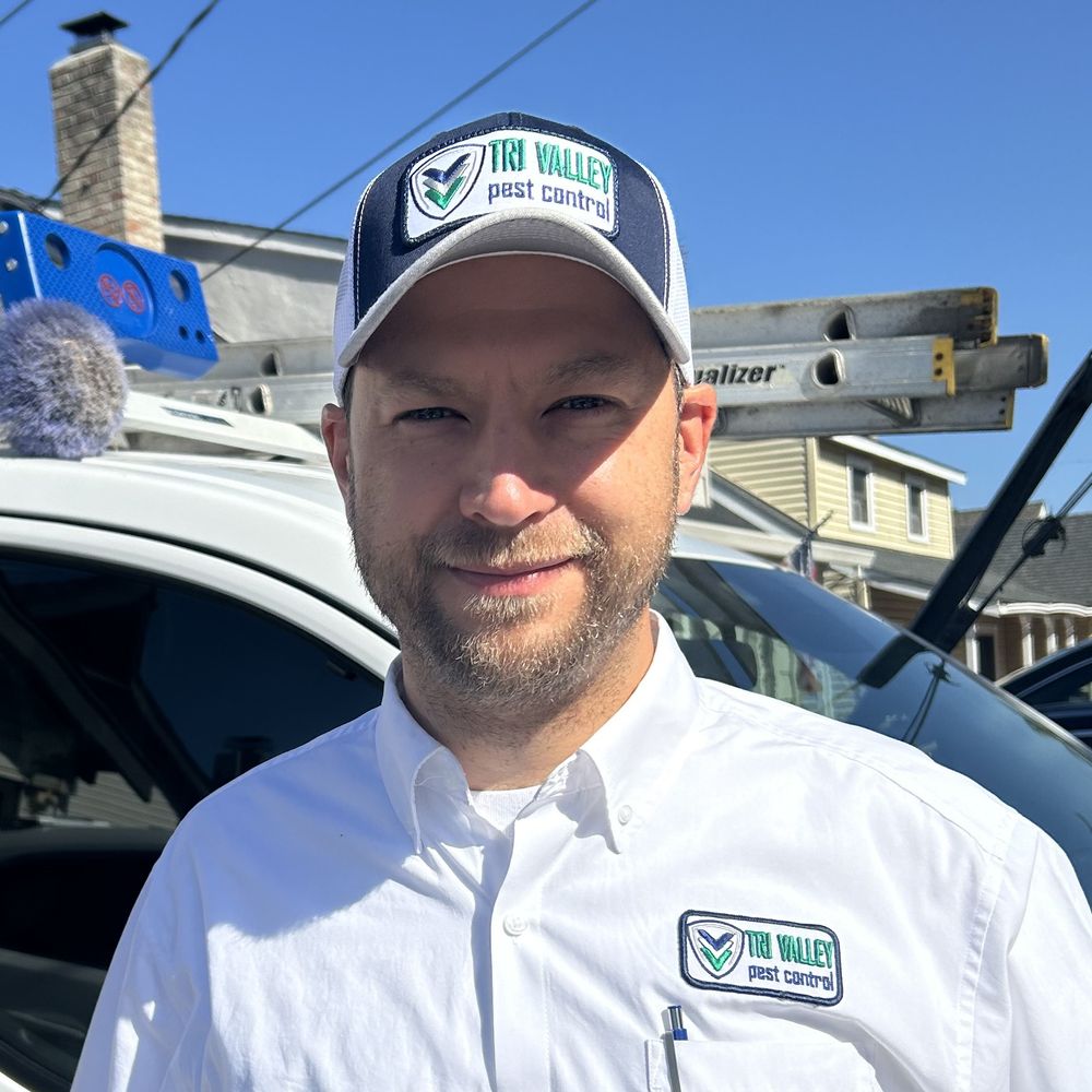 TOP 10 BEST Pest Control in San Ramon, CA - Updated 2026 - Yelp