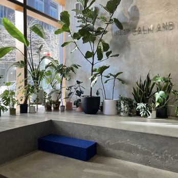 TEAZZI TEA SHOP - Updated September 2024 - 154 Photos & 86 Reviews - 43