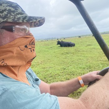 Kipu Ranch Adventures - Gorgeous cattle on Rice family land - Tours Near Me - Lihue, Hawaii Kipu Ranch Adventures - Gorgeous cattle on Rice family land - Tours Near Me - Lihue, Hawaii