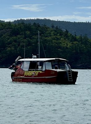 Red Cat Adventures - Thundercat Day Tour by null