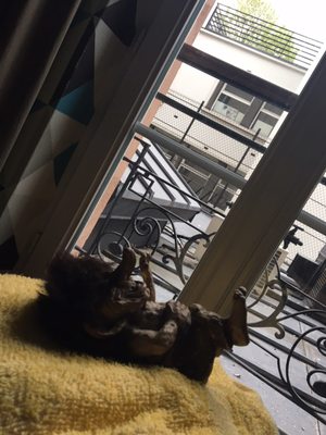 Oops! Hostel by null