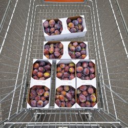 EDEKA Wirz - 7,5 KG Zwetschgen gekauft bei Edeka Wirz in Plaidt  (06.07.2026) H.S.