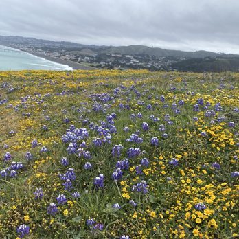 Breakers Breakfast, Brunch & Lunch - Mori Point in Pacifica is just a few minutes drive from Breakers - Breakfast & Brunch Near Me - Pacifica, California Breakers Breakfast, Brunch & Lunch - Mori Point in Pacifica is just a few minutes drive from Breakers - Breakfast & Brunch Near Me - Pacifica, California