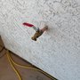 Birdie Plumbing