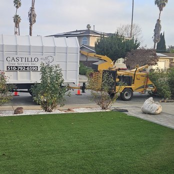 Castillo Tree Service - Tree Services Near Me - Hayward, California