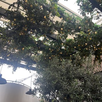 Truly Pizza - outdoor seating - Pizza Near Me - Dana Point, California Truly Pizza - outdoor seating - Pizza Near Me - Dana Point, California