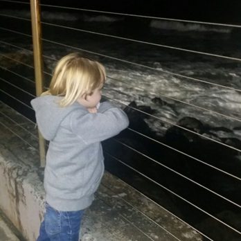 Moonraker Restaurant - My little son enjoying the waves post dinner disaster. He ate french fries as his only real choice for kid friendly food. - New American Near Me - Pacifica, California