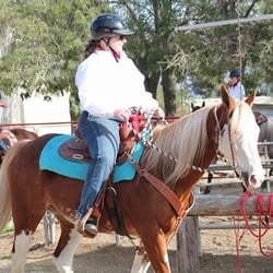King Performance Horses
