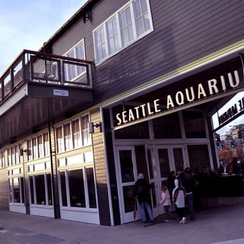 Seattle Aquarium - Aquariums Near Me - Seattle, Washington Seattle Aquarium - Aquariums Near Me - Seattle, Washington