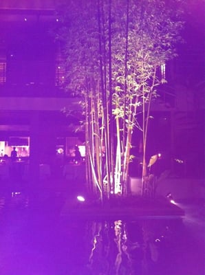 WITH THE STYLE FUKUOKA by null