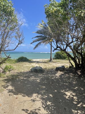 Salt River Bay National Historical Park and Ecological Preserve by null